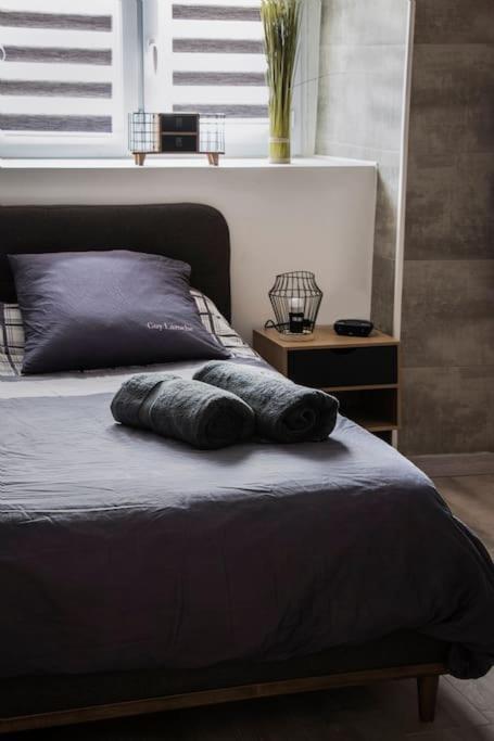 Les 4 Chenes - T2 Refait A Neuf Apartment Le Pont-de-Beauvoisin ภายนอก รูปภาพ